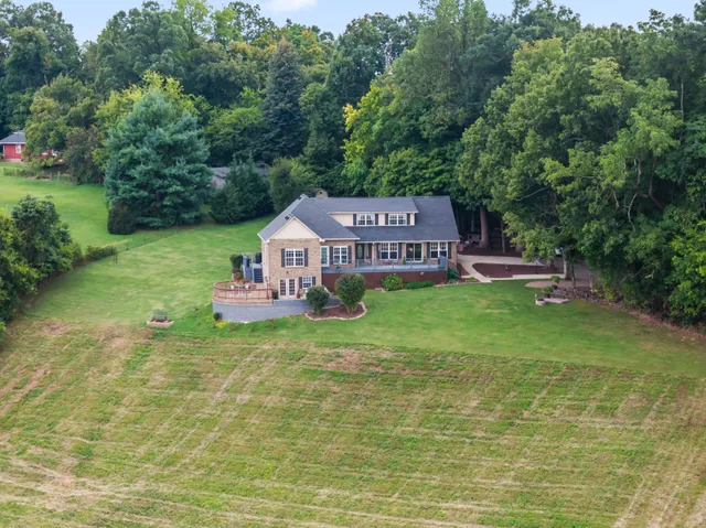 a view of a lush green field with mountains in the background