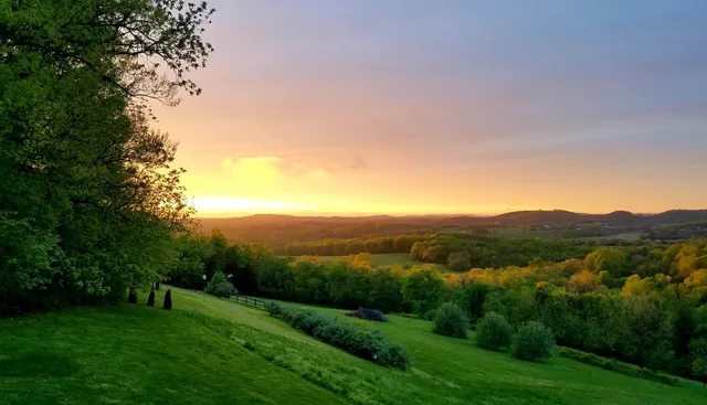 a front view of a house with a garden and plants