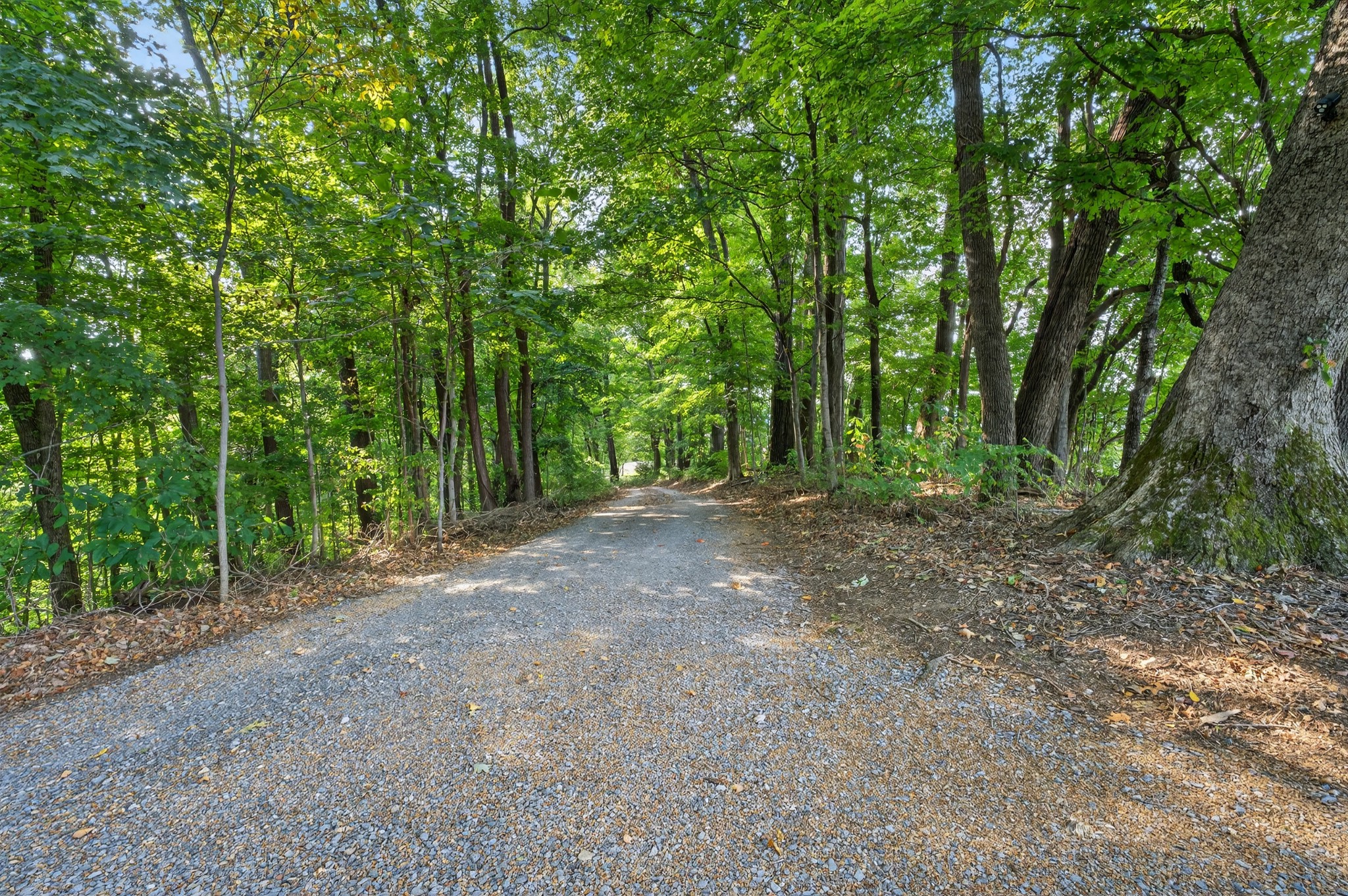 915 Normandy Road Normandy, TN 37360 - Photo 72 of 100