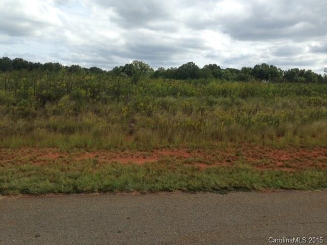100 Evondale Road Crouse, NC 28033 - Photo 2 of 5