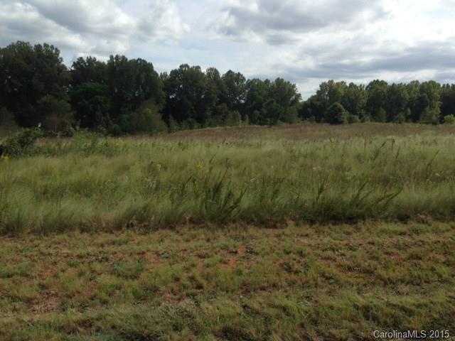 100 Evondale Road Crouse, NC 28033 - Photo 4 of 5