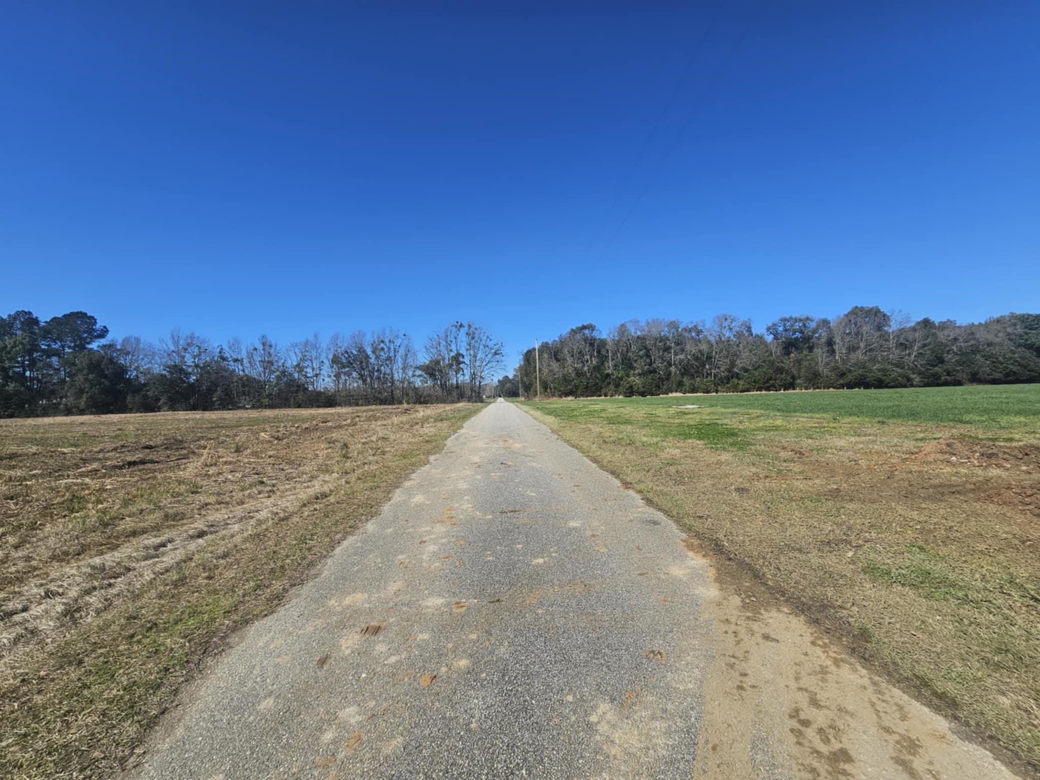 0 Black Griffin Road Loxley, AL 36551 - Photo 1 of 8 Community