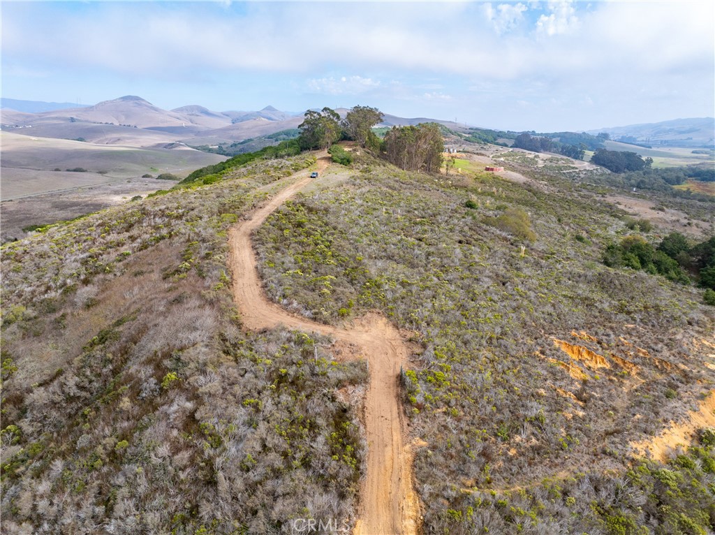 1987 Turri Road San Luis Obispo, CA 93405 - Photo 17 of 34 a view of a forest with a mountain