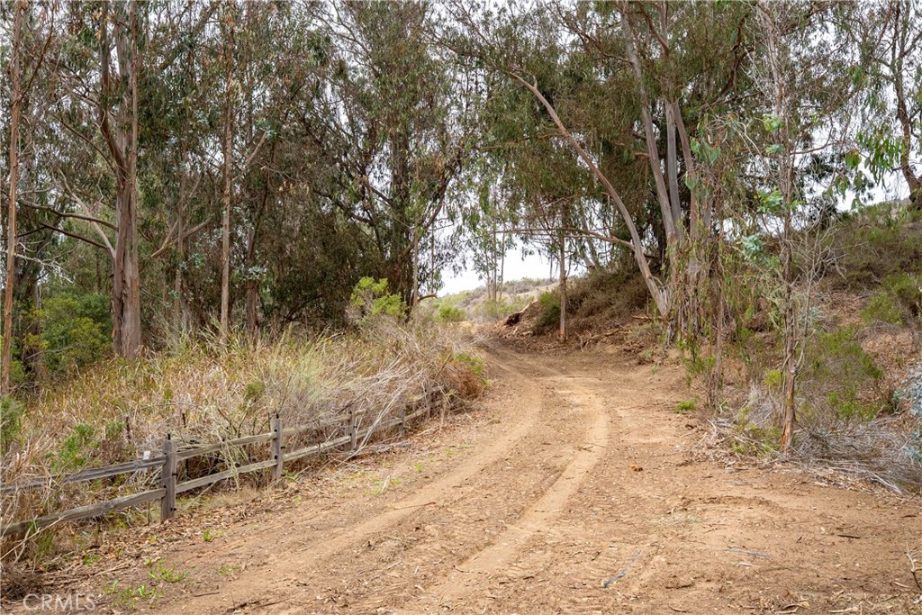 1987 Turri Road San Luis Obispo, CA 93405 - Photo 7 of 34 a view of a yard with large trees