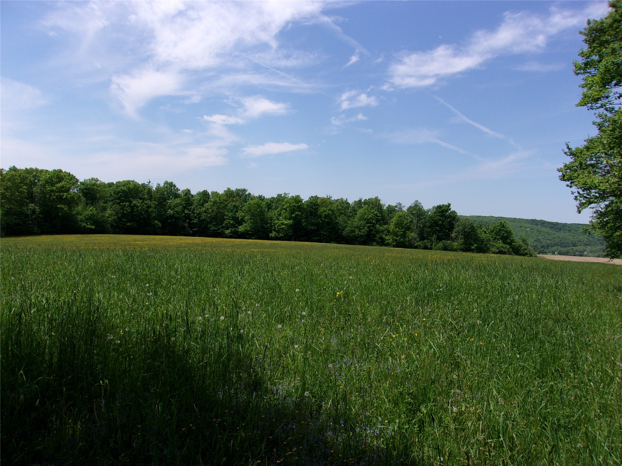600 Eiklor Road Candor, NY 13743 - Photo 36 of 49