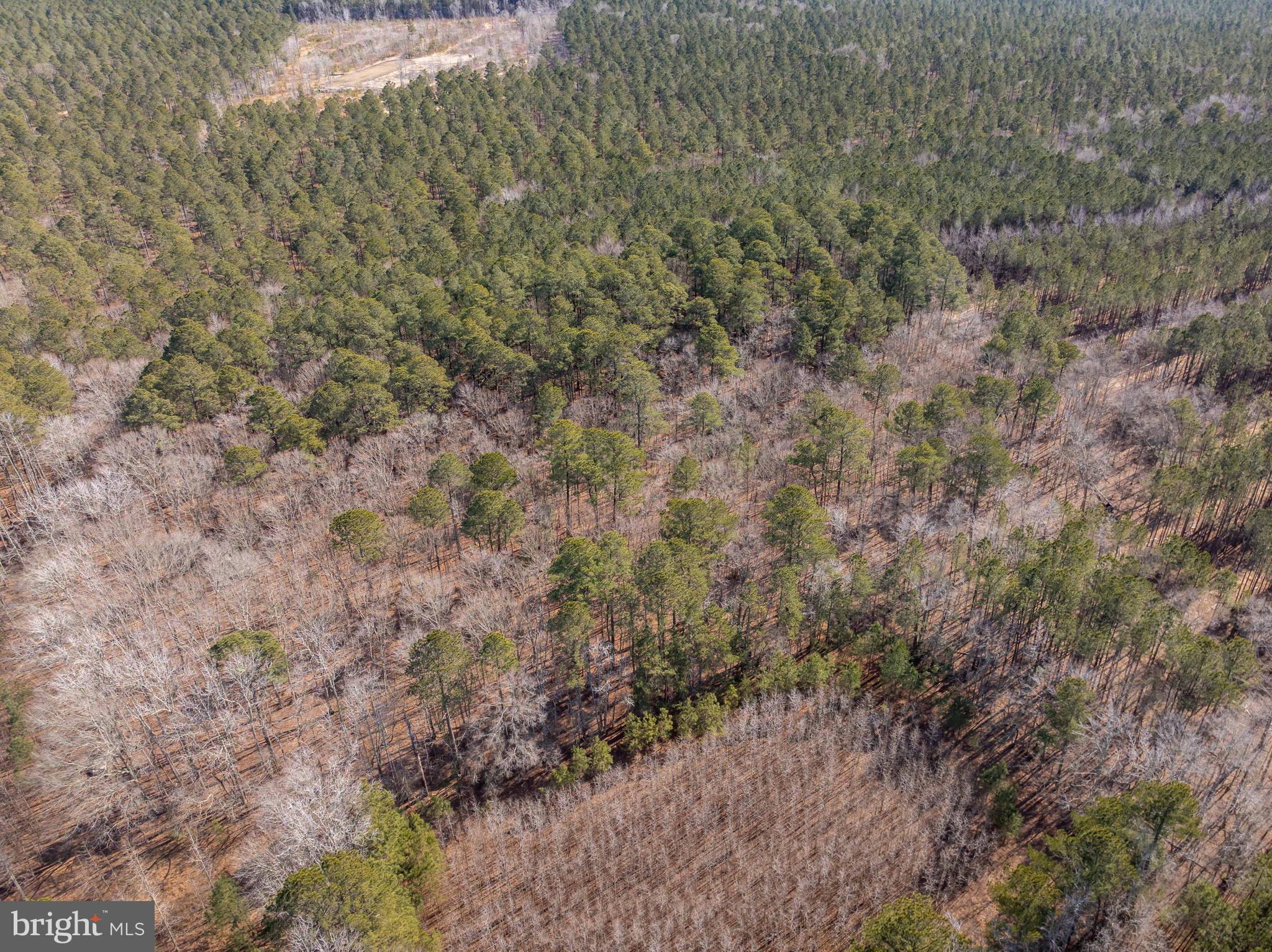 0 Polks Road Princess Anne, MD 21853 - Photo 17 of 18