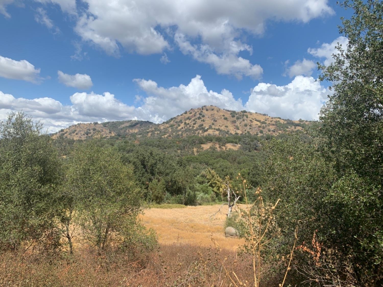 0 Lot 369 Chuckwagon Road Squaw Valley, CA 93675 - Photo 1 of 14 Gallery Image 1