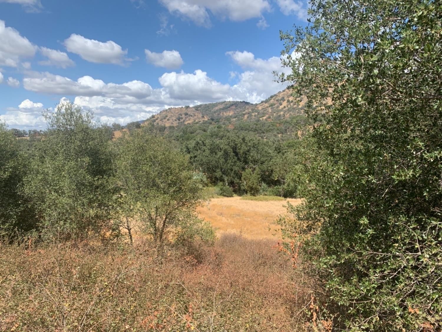 0 Lot 369 Chuckwagon Road Squaw Valley, CA 93675 - Photo 3 of 14 Gallery Image 3