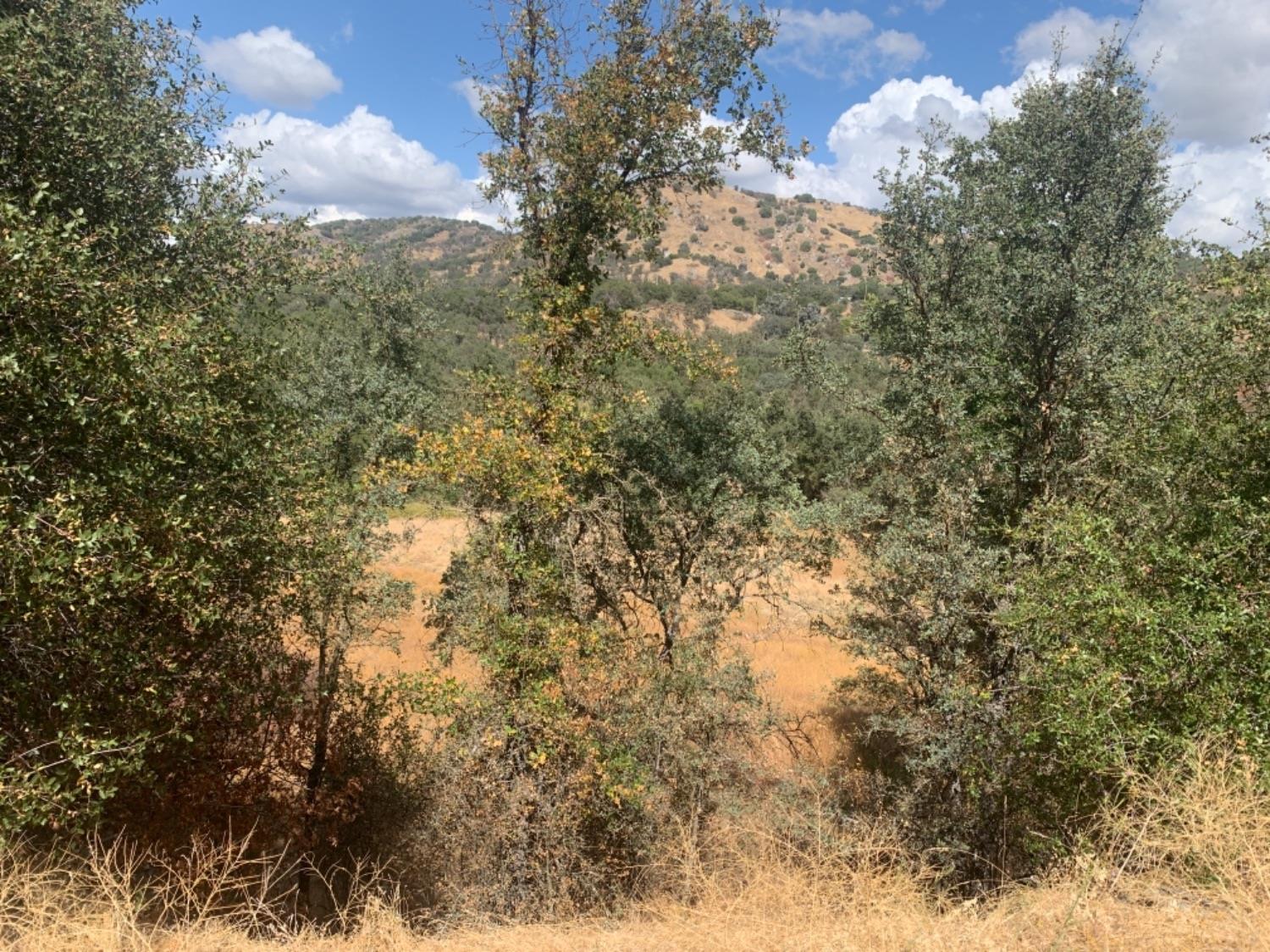 0 Lot 369 Chuckwagon Road Squaw Valley, CA 93675 - Photo 7 of 14 Gallery Image 7