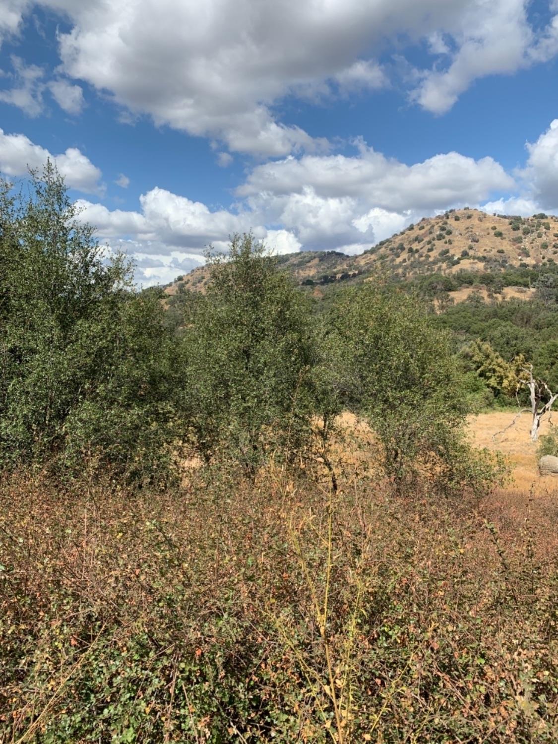0 Lot 369 Chuckwagon Road Squaw Valley, CA 93675 - Photo 10 of 14 Gallery Image 10