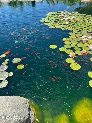 $1,500,000 | 1238 Centerville Lane, Gardnerville, NV 89460