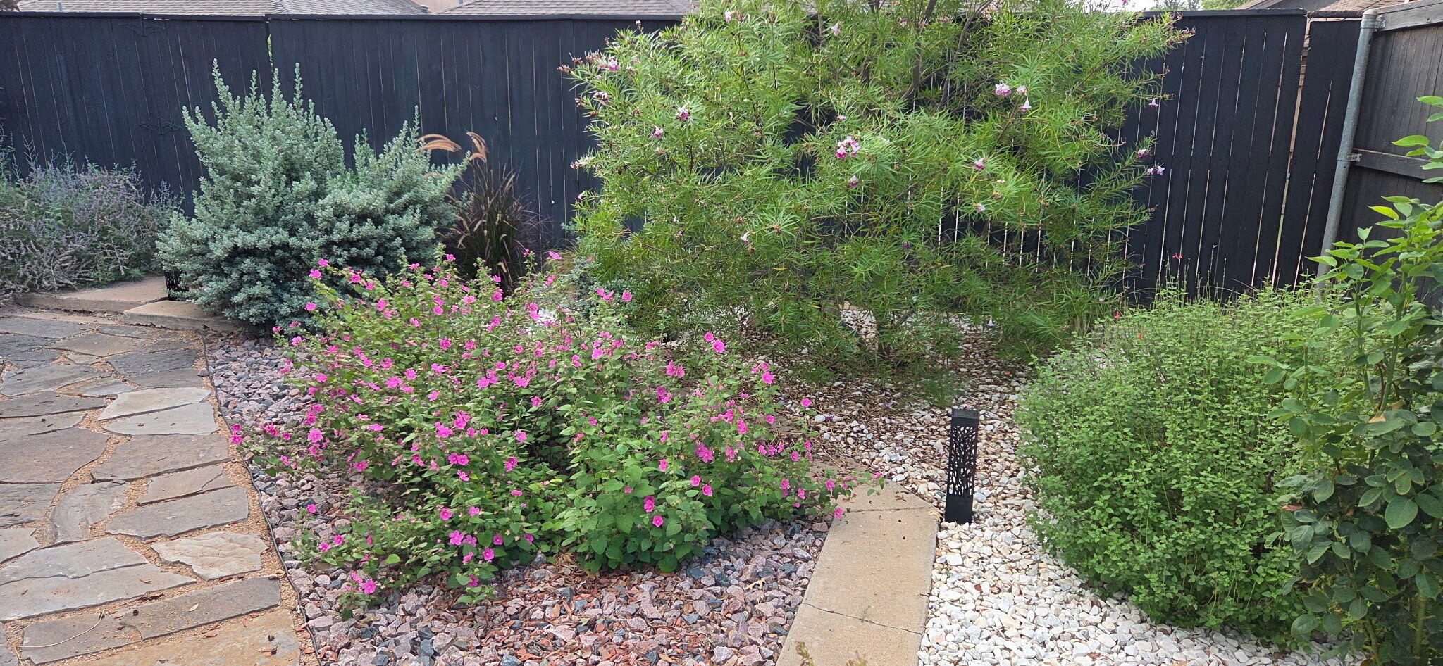 5107 1st Place Lubbock, TX 79416 - Photo 61 of 67 a view of a garden with flowers and wooden fence