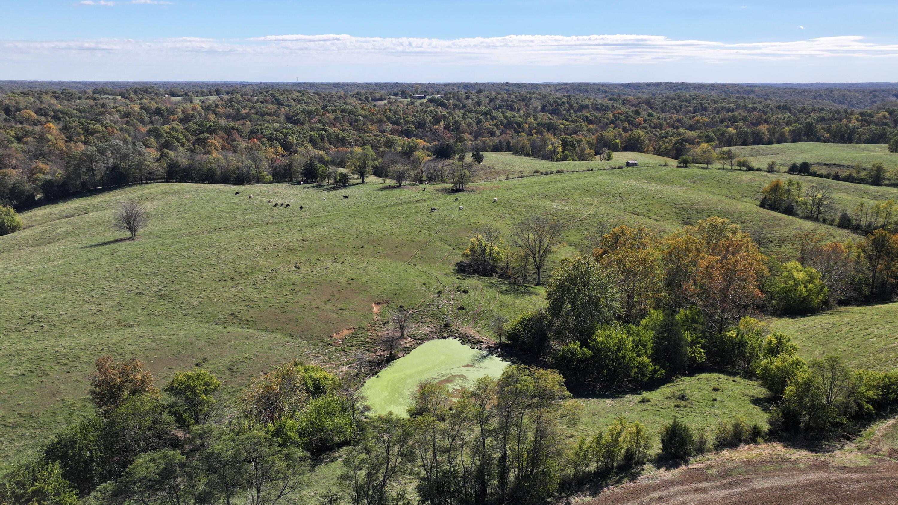 3575 Greenup Road Owenton, KY 40359 - Photo 24 of 49