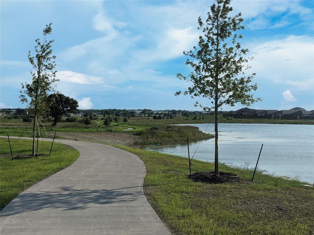 125 Medina Lane Rhome, TX 76078 - Photo 17 of 21 a view of a garden with a lake view