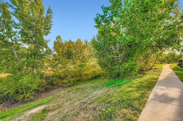 a view of a pathway both side of yard