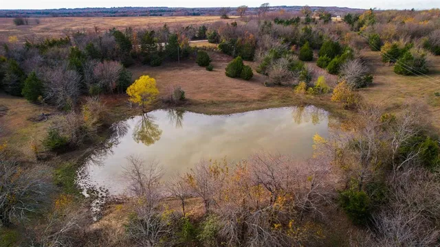a view of a lot of trees and covered with fog