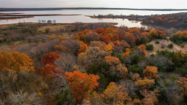 an aerial view of residential houses with outdoor space and trees