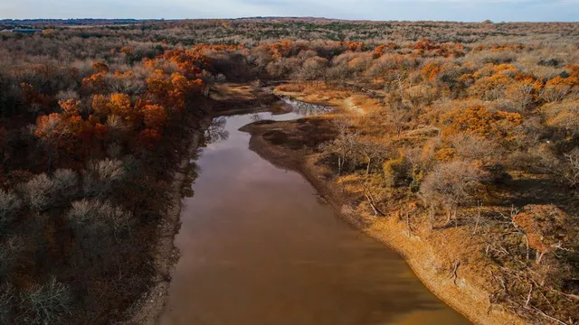a view of a yard with large trees