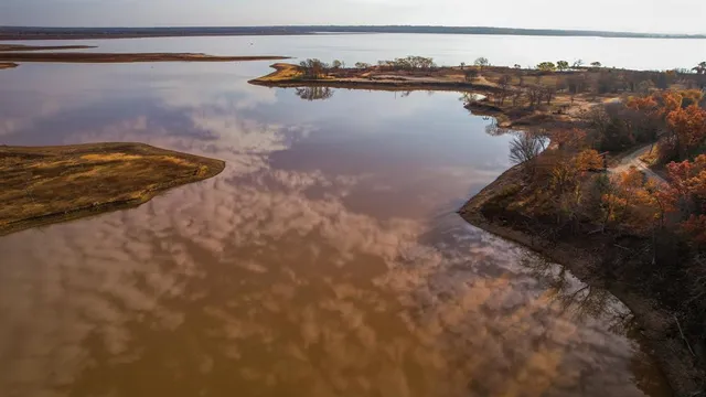 a view of covered with green space