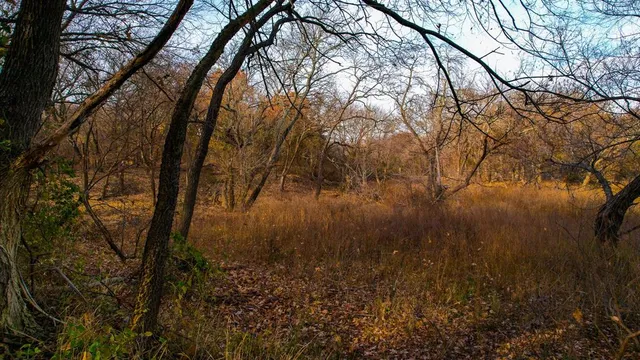 a view of a lake from a yard