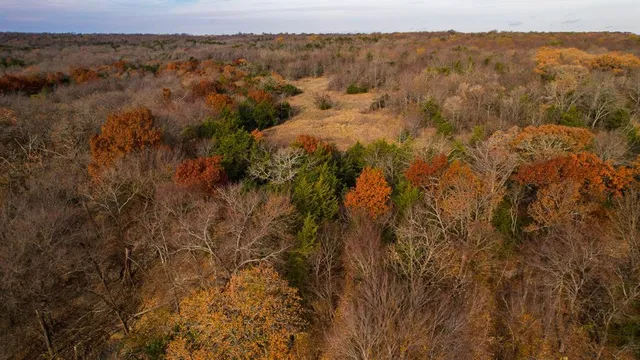 a bed sitting in a middle of a field