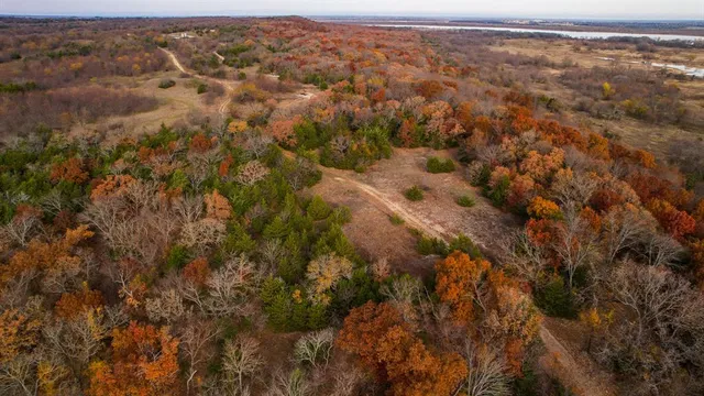 a view of an ocean and beach