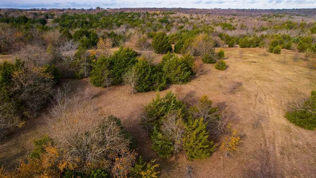 a view of backyard with green space