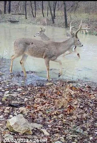 $6,494,400 | 432-acres Slickum Slough Road, Whitesboro, TX 76273