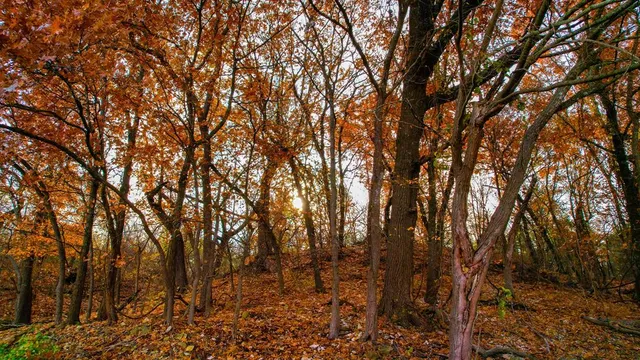 a view of a tennis court