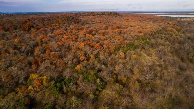a view of city and mountain