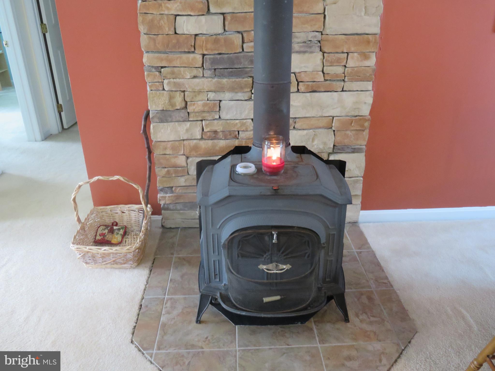 6907 Quail Run Hurlock, MD 21643 - Photo 15 of 30 wood stove