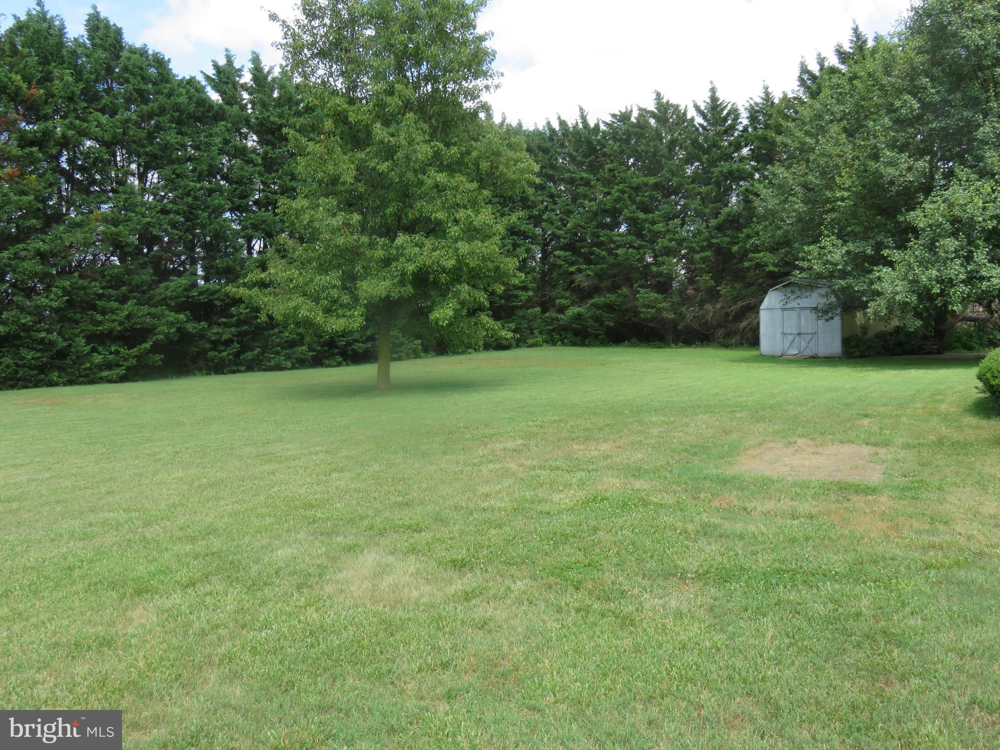 6907 Quail Run Hurlock, MD 21643 - Photo 29 of 30 Side yard