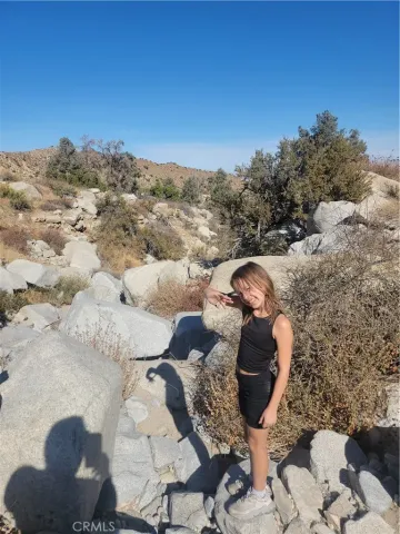 a view of a backyard of a house with table and chairs