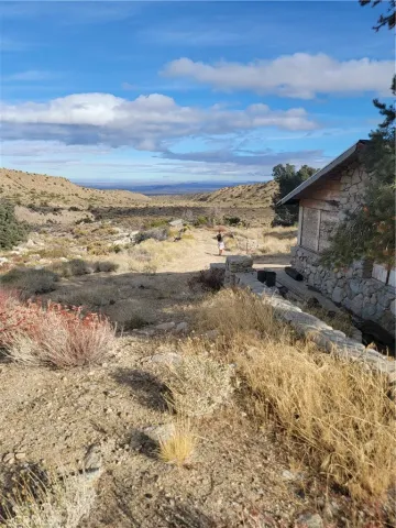 a view of a bunch of trees and bushes