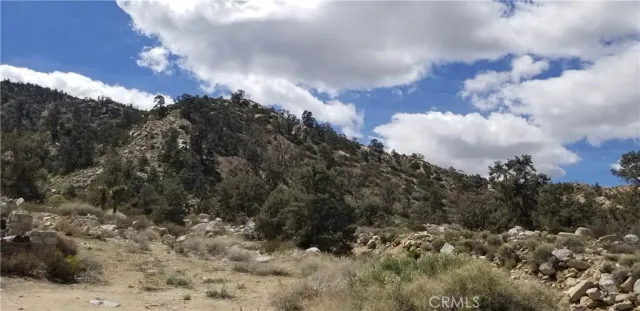 a view of a backyard of a house