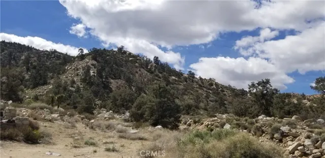 a view of a backyard of a house