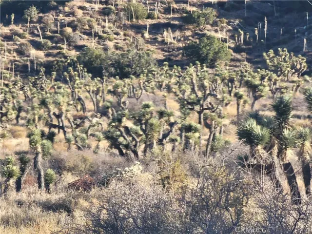 a view of outside area