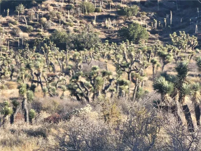 a view of outside area