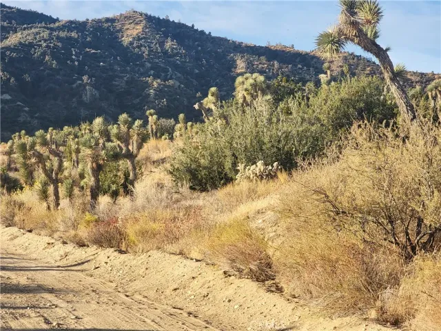 a view of a yard covered with snow in front of house