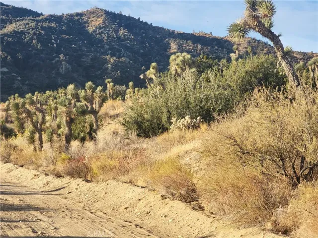 a view of a yard covered with snow in front of house