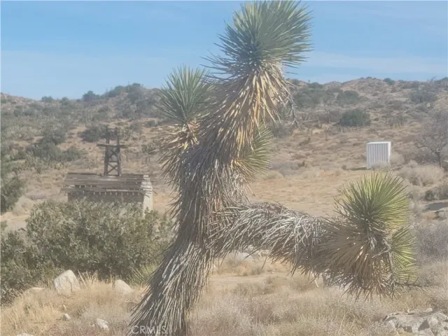 a view of a yard and mountain