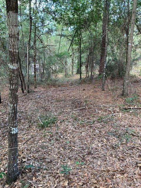 Tbd Possum Ridge Road Crestview, FL 32539 - Photo 8 of 17 a view of outdoor space with trees