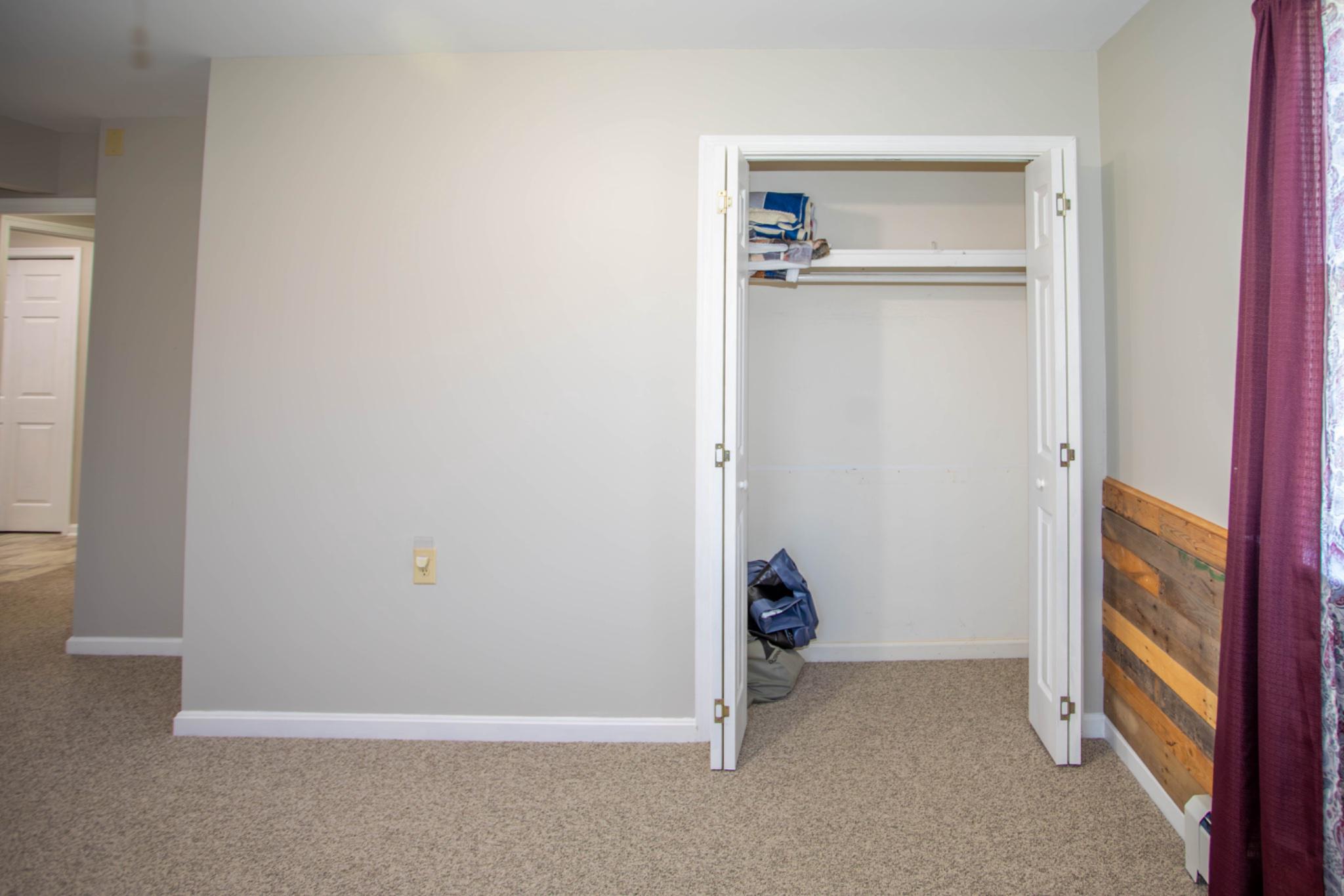 161 Coyote Run Mathias, WV 26812 - Photo 32 of 88 Primary bedroom closet.