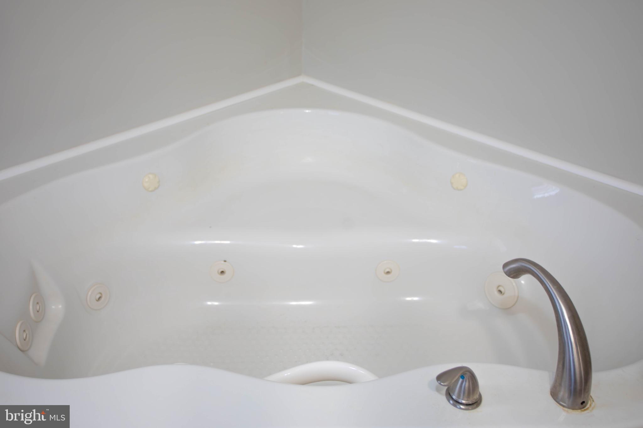 161 Coyote Run Mathias, WV 26812 - Photo 37 of 88 Luxurious corner soaking tub retreat.