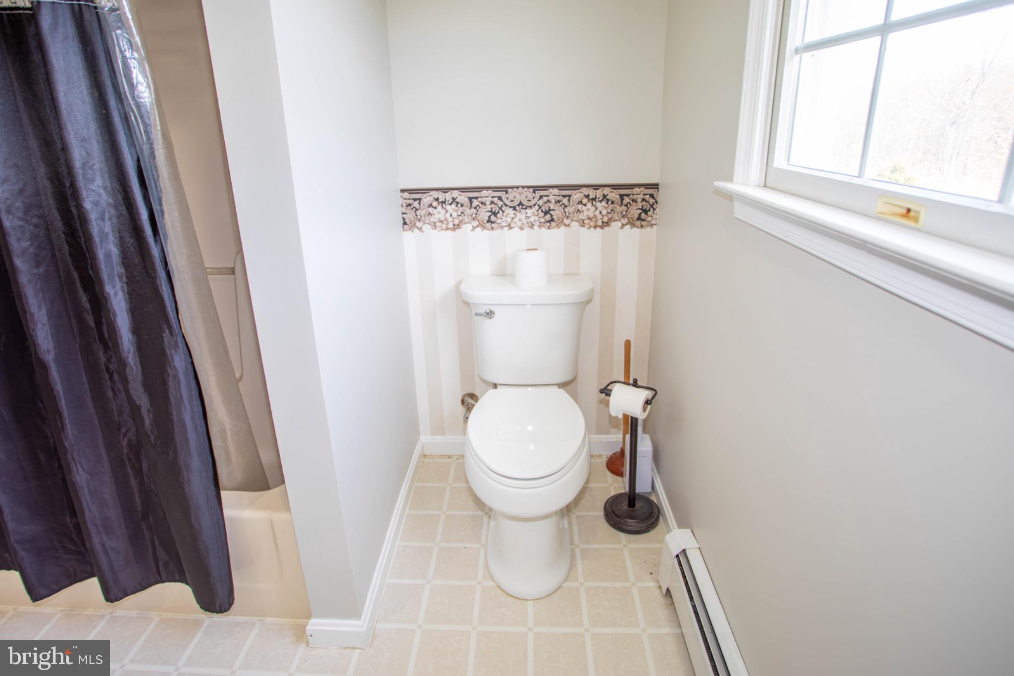 161 Coyote Run Mathias, WV 26812 - Photo 61 of 88 Bright and airy bathroom retreat.