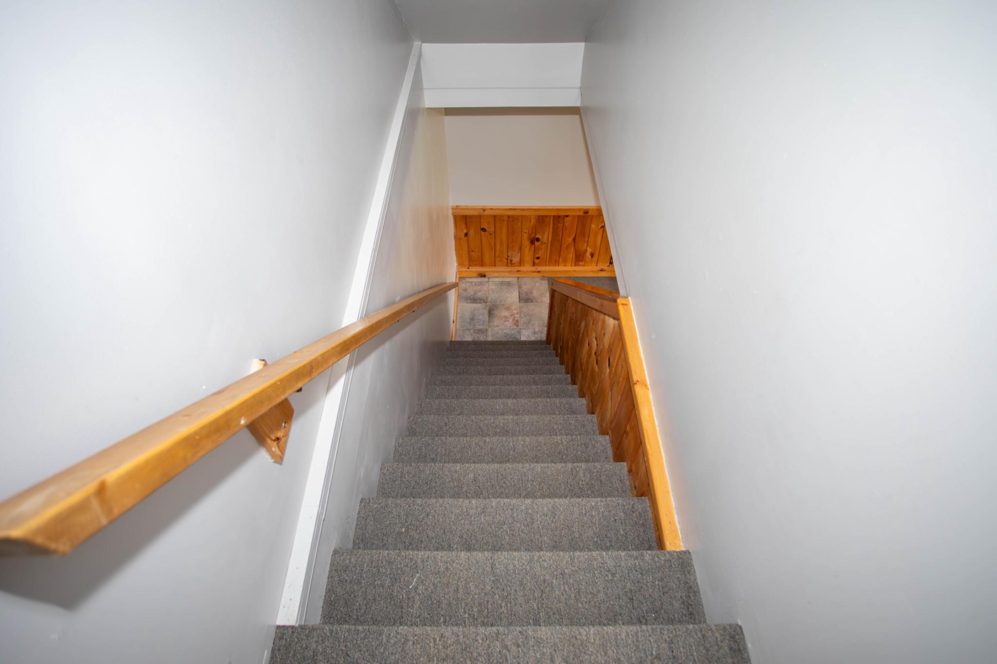 161 Coyote Run Mathias, WV 26812 - Photo 63 of 88 Inviting descent into cozy lower level.