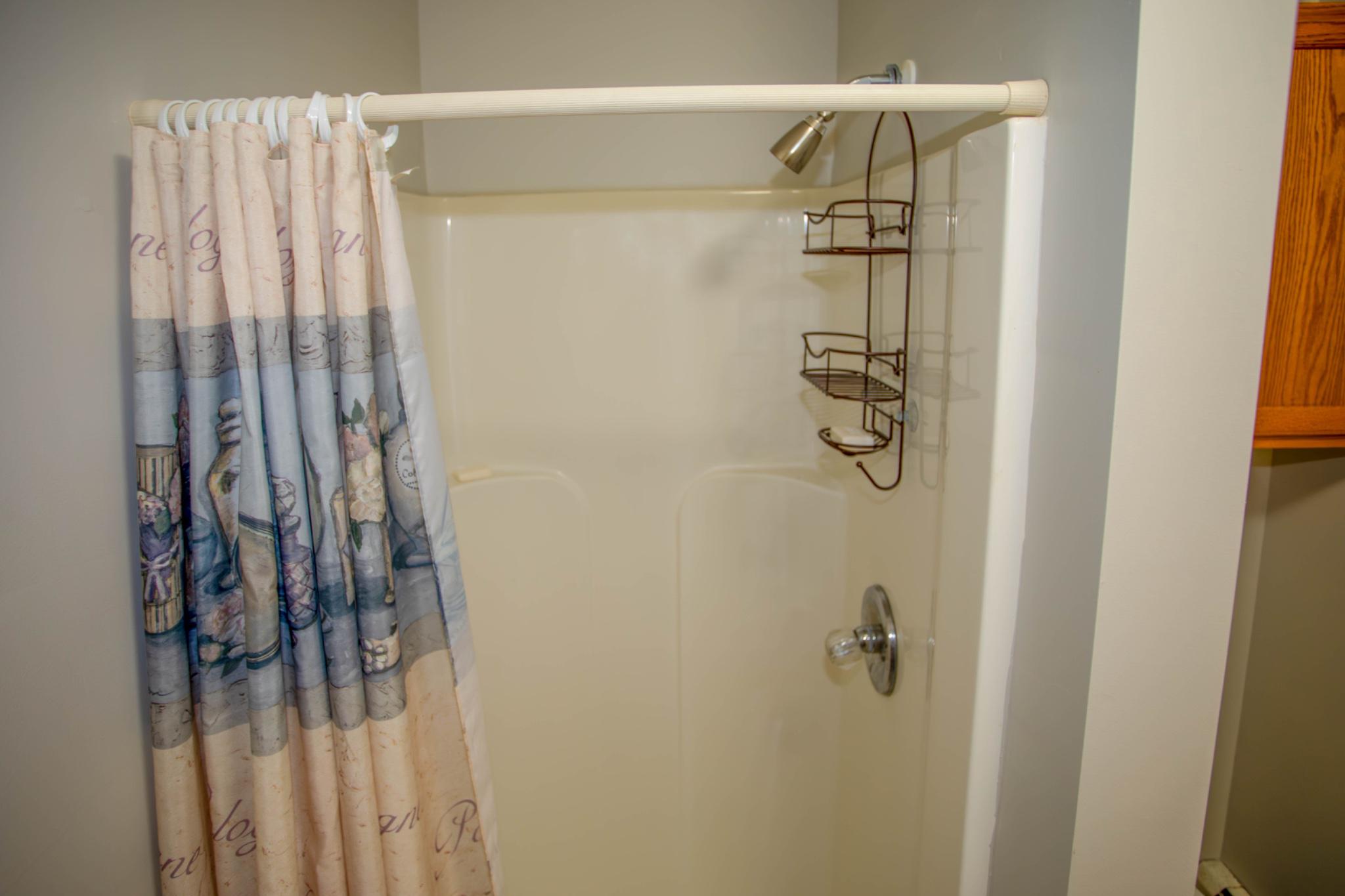 161 Coyote Run Mathias, WV 26812 - Photo 71 of 88 Lower level shower.