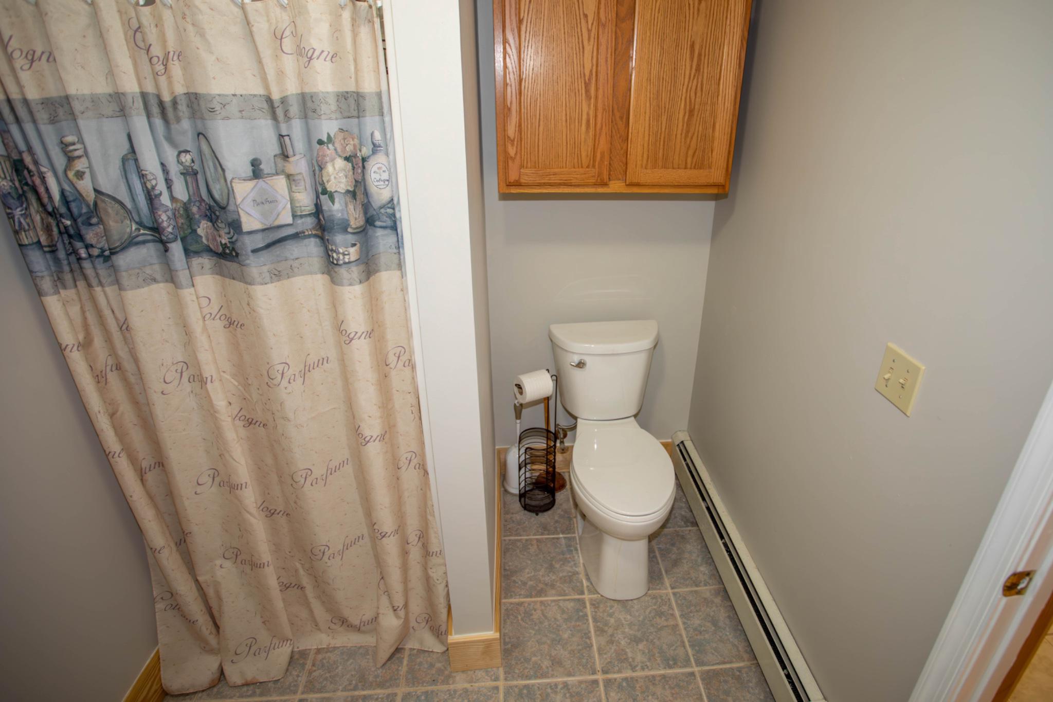 161 Coyote Run Mathias, WV 26812 - Photo 72 of 88 Cozy LL bathroom with practical design.