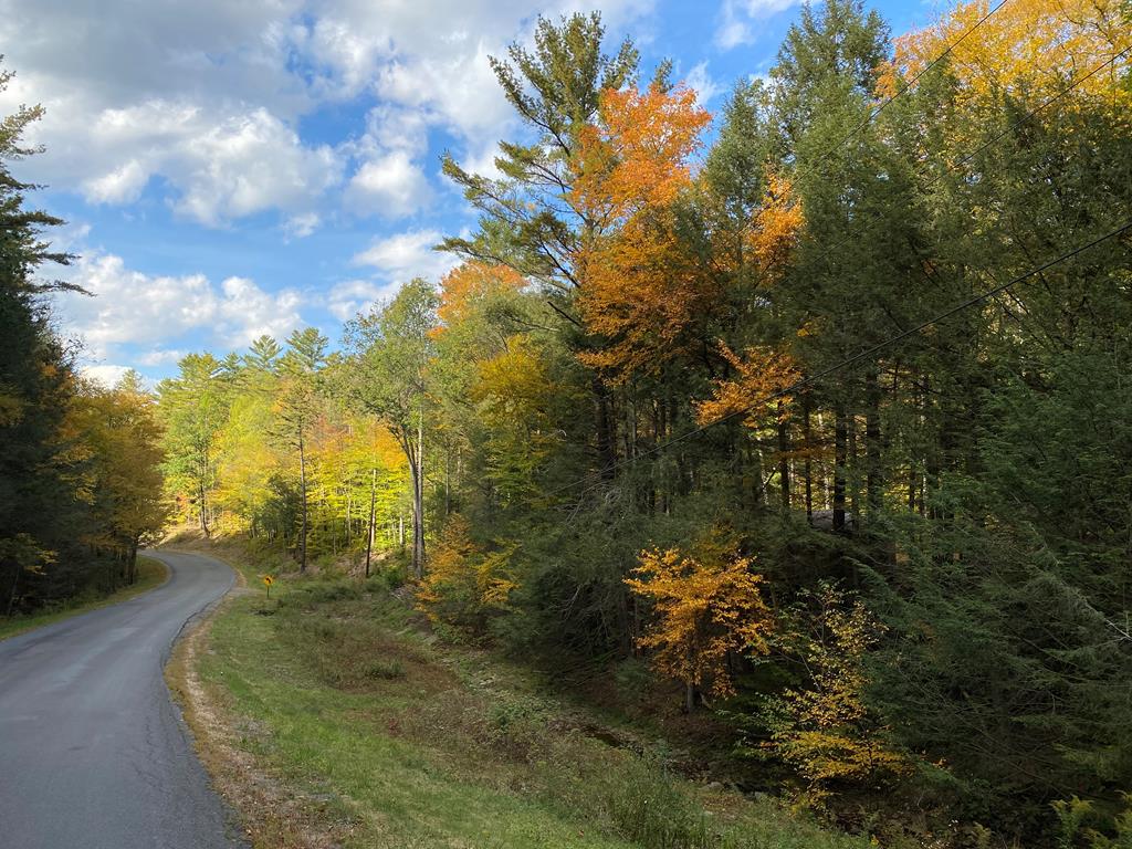 0 Mulholland Road Erwin, NY 14870 - Photo 1 of 1