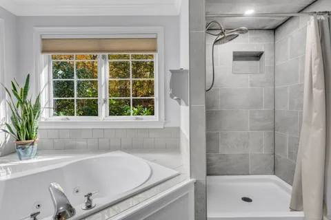 a bathroom with a shower and a bathtub